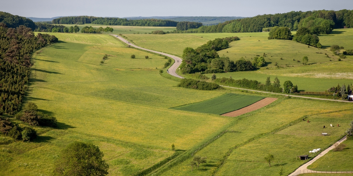 Zarządzanie nieruchomościami łódź