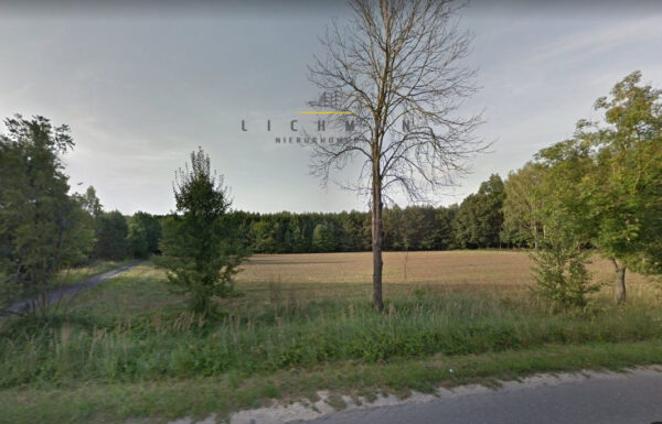 Agencja nieruchomości łódź