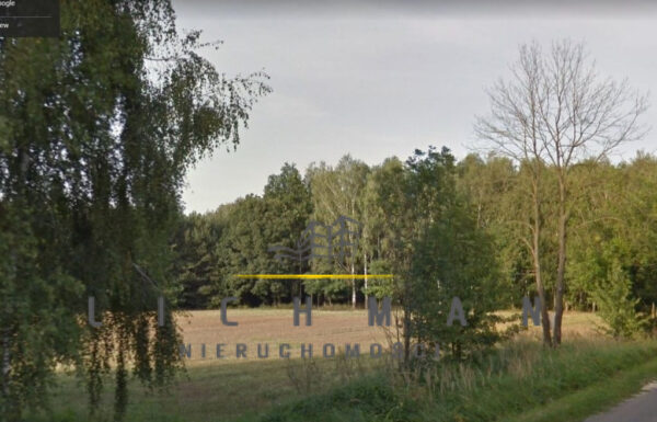 Agencja nieruchomości łódź