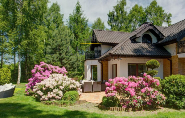 Mieszkania na wynajem łódź