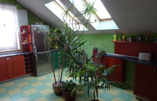 Lokale użytkowe łódź