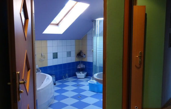 Lokale użytkowe łódź