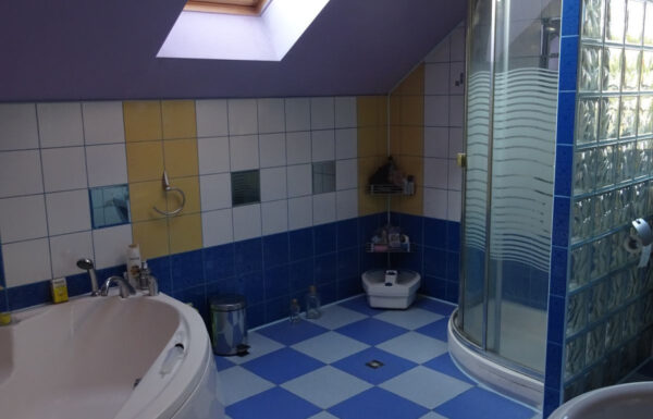 Lokale użytkowe łódź