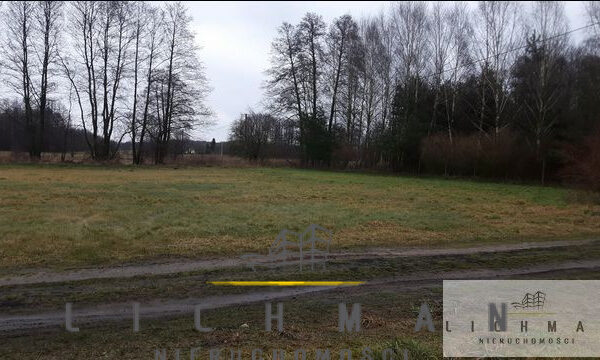 Lokale użytkowe łódź