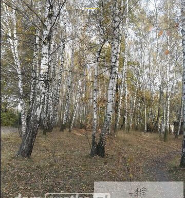 Obrót nieruchomościami łódź