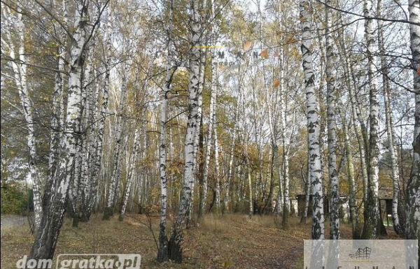 Obrót nieruchomościami łódź