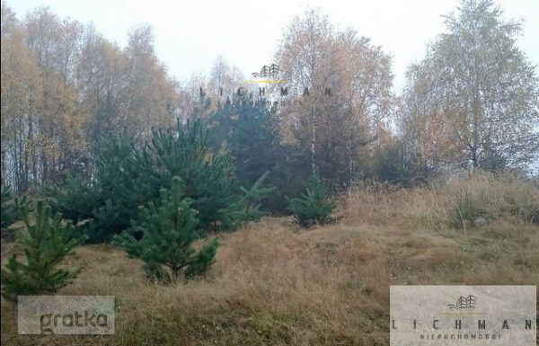 Nieruchomości na sprzedaż łódź