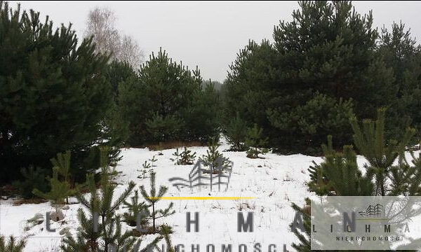 Nieruchomości na sprzedaż łódź