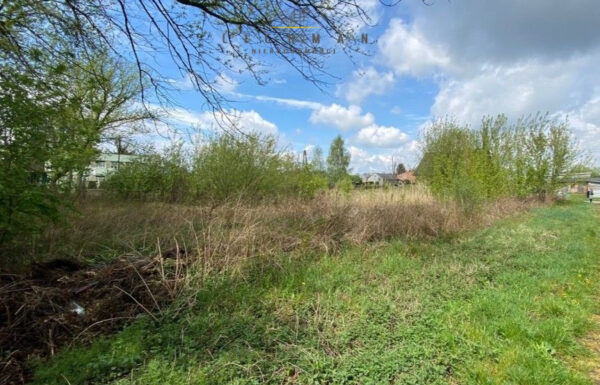 Obrót nieruchomościami łódź