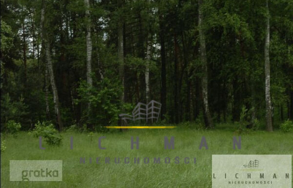 Obrót nieruchomościami łódź