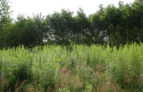 Działka budowlana łódź