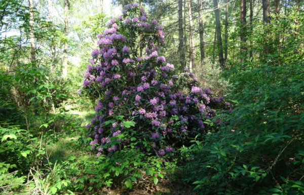 Nieruchomości na sprzedaż łódź