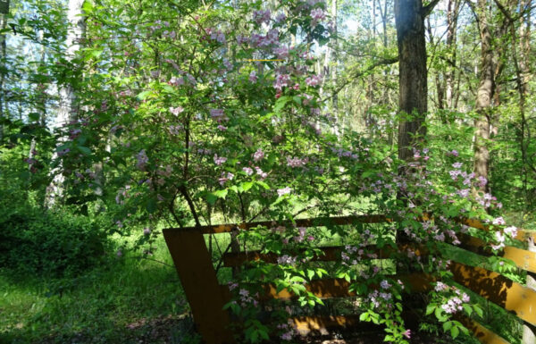 Nieruchomości na sprzedaż łódź