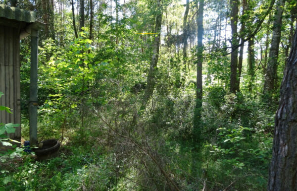 Nieruchomości na sprzedaż łódź