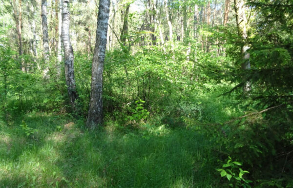 Nieruchomości na sprzedaż łódź