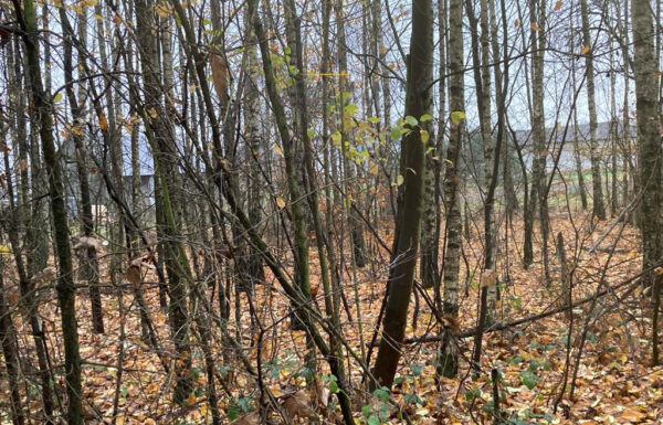 Lokale na sprzedaż łódź