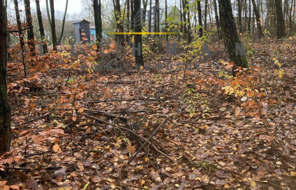 Lokale na sprzedaż łódź