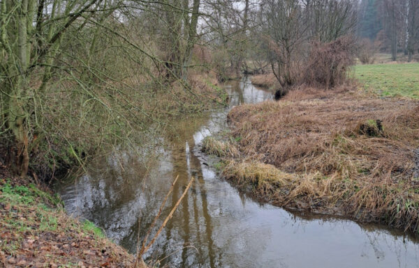 Obrót nieruchomościami łódź