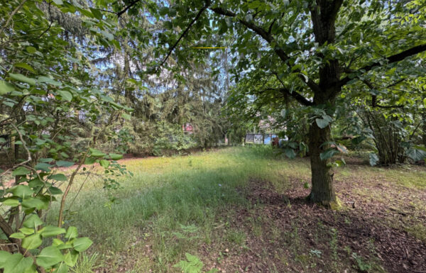 Obrót nieruchomościami łódź