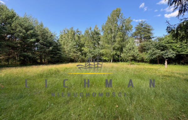 Obrót nieruchomościami łódź