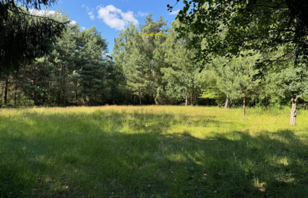 Obrót nieruchomościami łódź