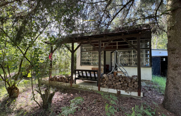 Obrót nieruchomościami łódź