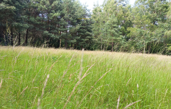 Obrót nieruchomościami łódź