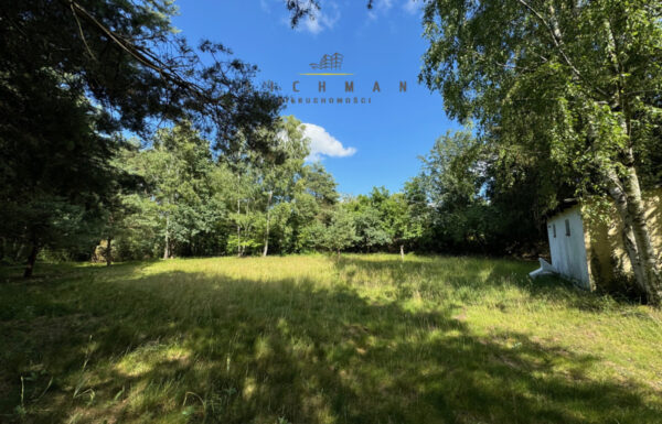 Obrót nieruchomościami łódź