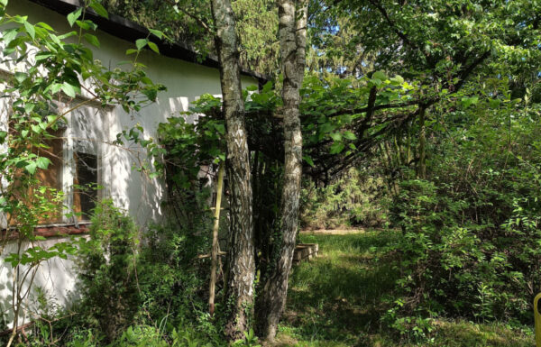 Obrót nieruchomościami łódź