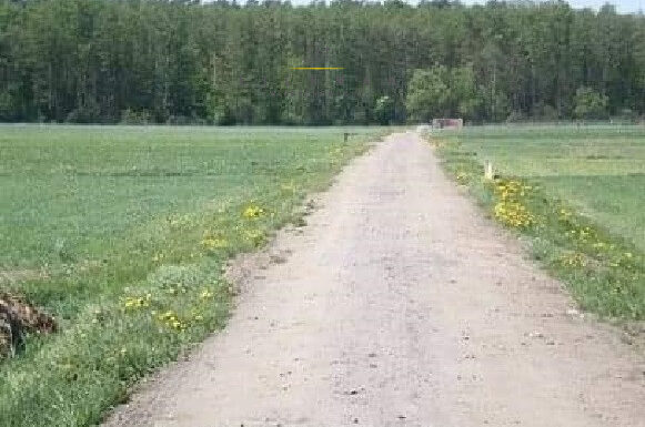 Skup nieruchomości łódź