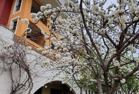 Apartament na sprzedaż w Bułgarii w Aheloy