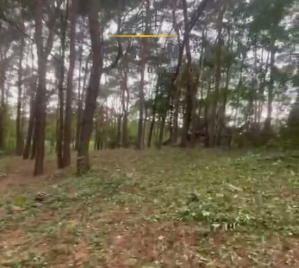 Obrót nieruchomościami łódź