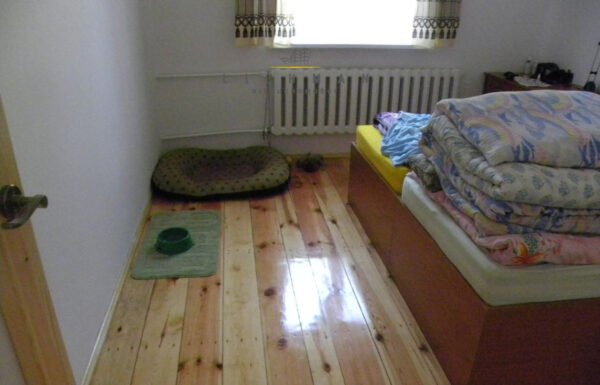 Mieszkania na wynajem łódź