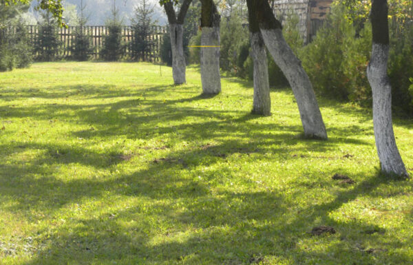 Mieszkania na wynajem łódź