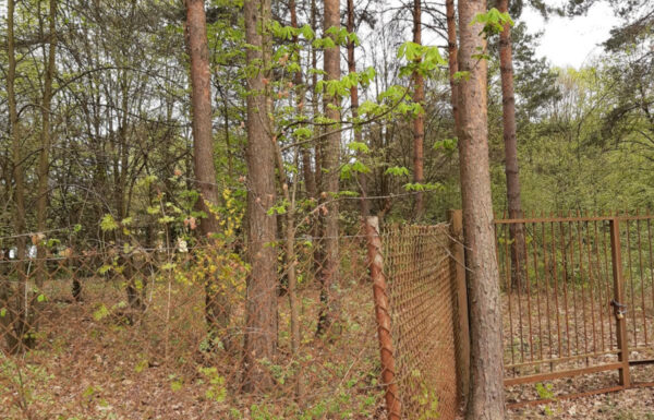 Skup nieruchomości łódź