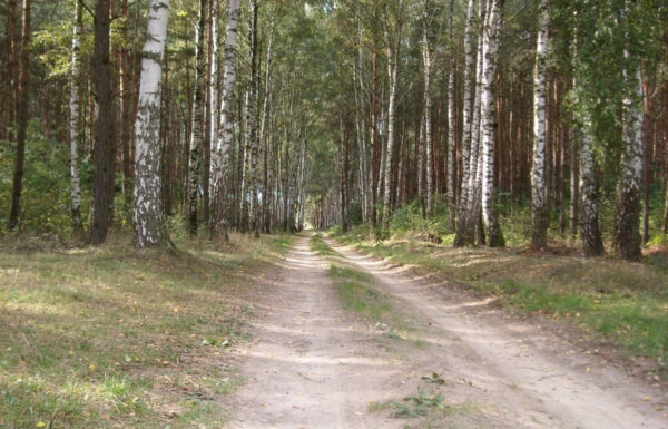 Działka budowlana łódź