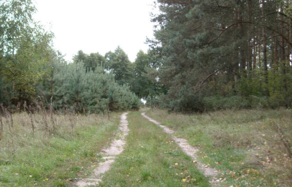 Działka budowlana łódź