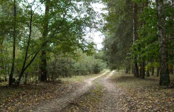 Działka budowlana łódź