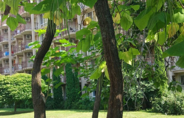 Działka budowlana łódź