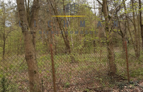 Lokale użytkowe łódź