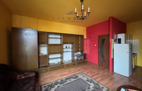 Lokale na wynajem łódź