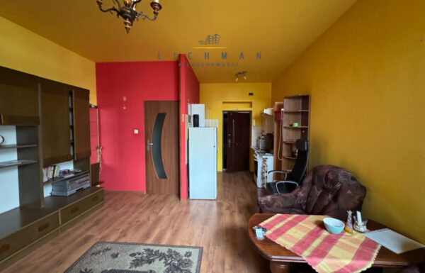 Domy na wynajem łódź