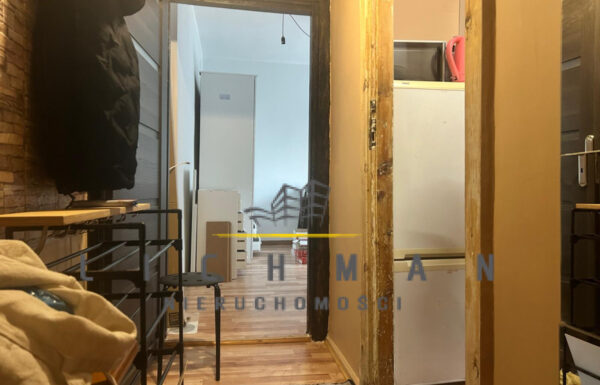 Lokale użytkowe łódź