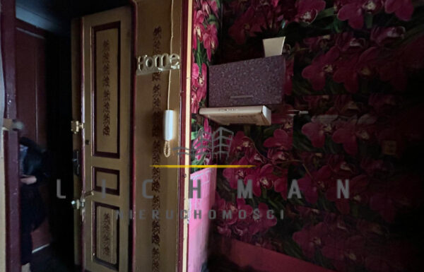 Lokale na wynajem łódź