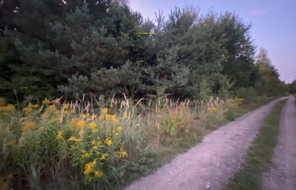 Biuro nieruchomości łódź