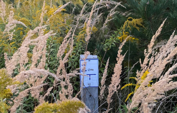 Biuro nieruchomości łódź