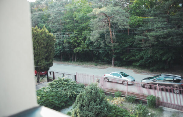 109307798_max.jpg