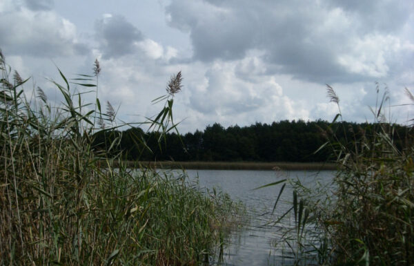 112095890_max.jpg