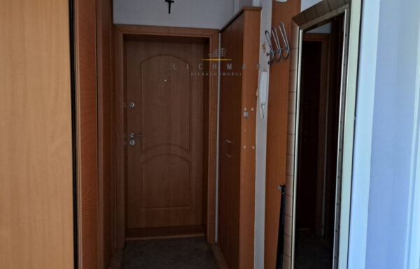 117201533_max.jpg