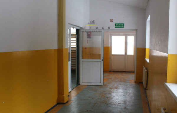 117332741_max.jpg
